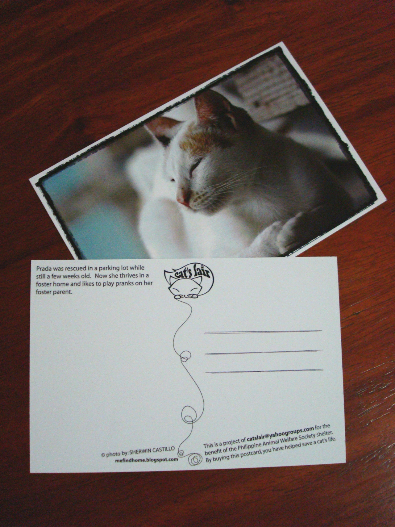 postcards-008.jpg