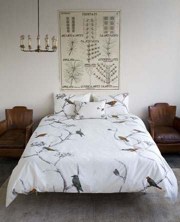 Just the bird sheets